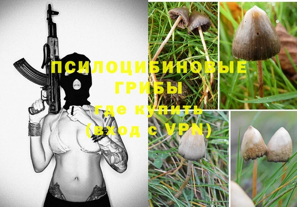наркотики Заводоуковск