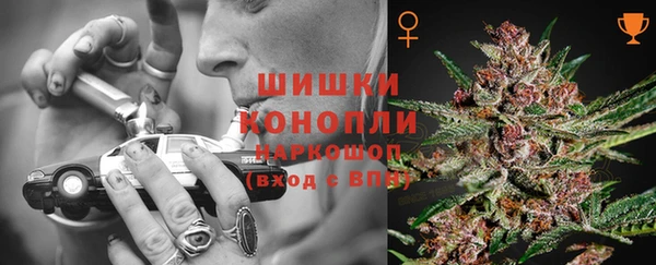 spice Каменногорск