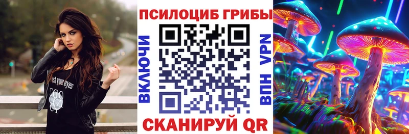 Псилоцибиновые грибы мицелий  Купить где  Кумертау 